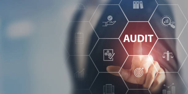 Financial Audit